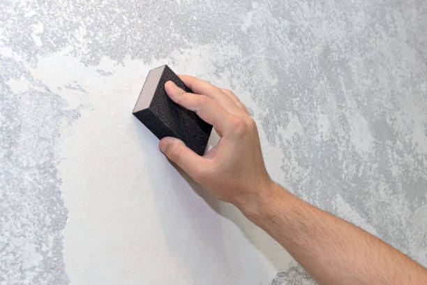 Best Industrial Mold Remediation  in Gautier, MS