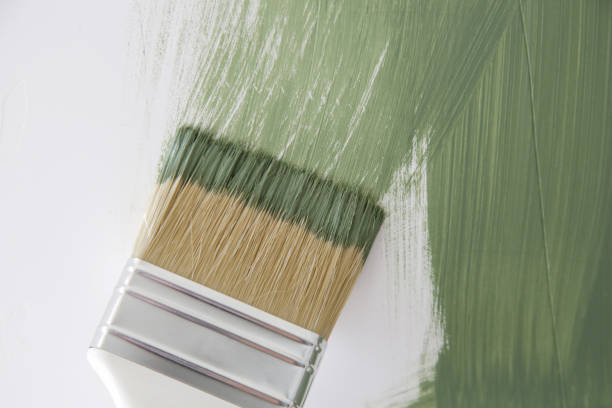 Best Basement Mold Removal  in Gautier, MS