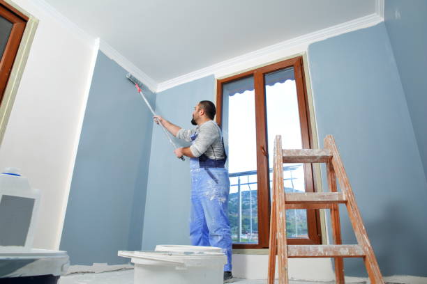 Best Mold Odor Removal Services  in Gautier, MS