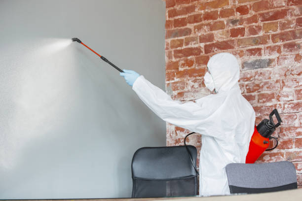 Best Environmental Consulting for Mold Prevention  in Gautier, MS