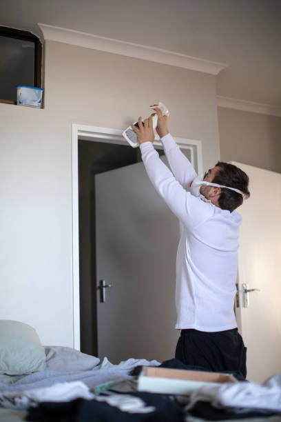 Best Water Damage & Mold Remediation  in Gautier, MS