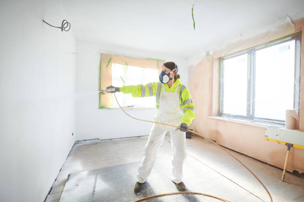 Best Black Mold Removal  in Gautier, MS