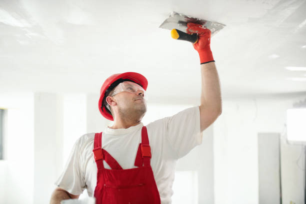 Best Post-Construction Mold Inspection  in Gautier, MS
