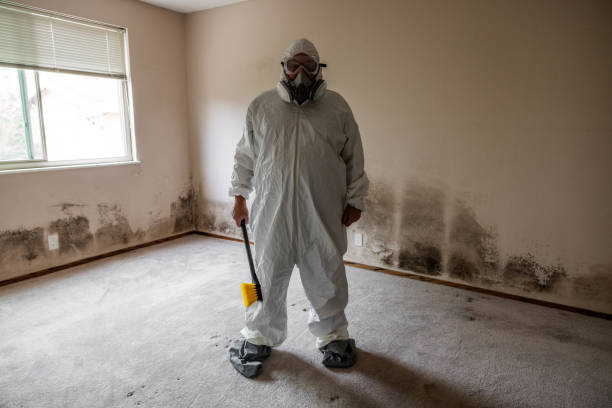Best Emergency Mold Remediation  in Gautier, MS