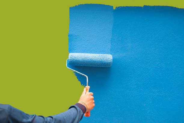Best Mold Damage Restoration  in Gautier, MS