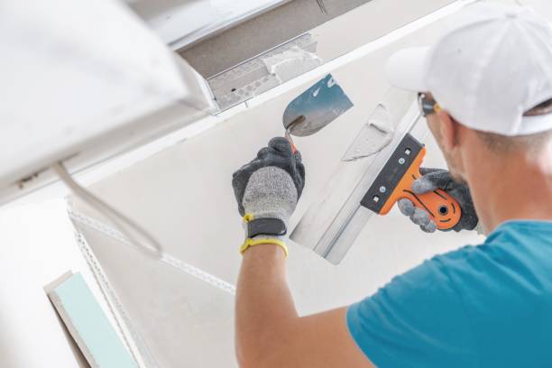 Best Mold Documentation for Insurance Claims  in Gautier, MS